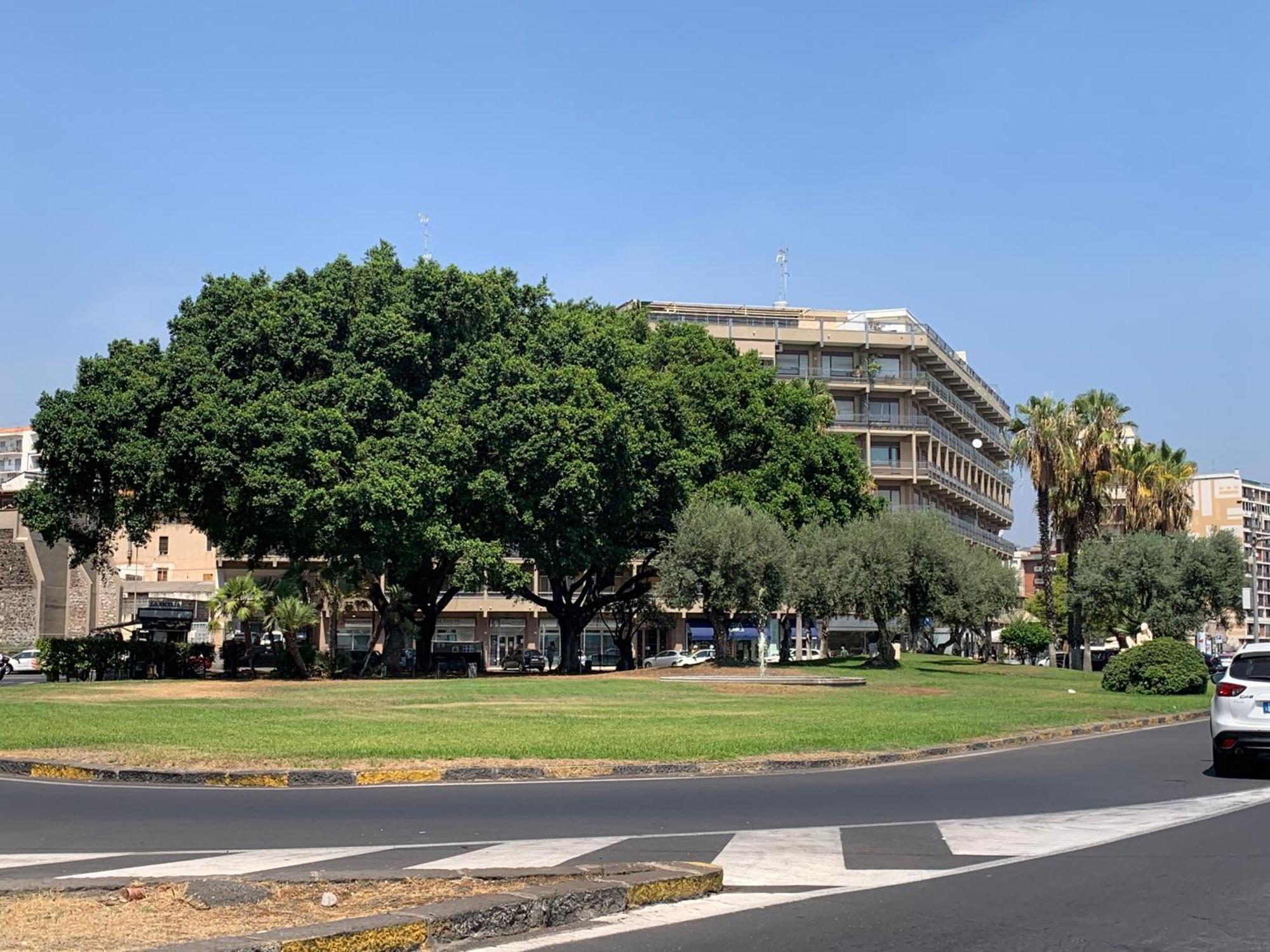Serenityhomect Catania Bagian luar foto